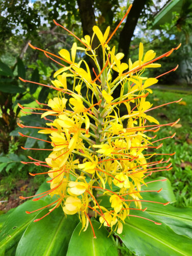 Send your best photos from Maui County to mauiphotos@mauinews.com for a chance to see them featured on our website and in our weekly print edition.